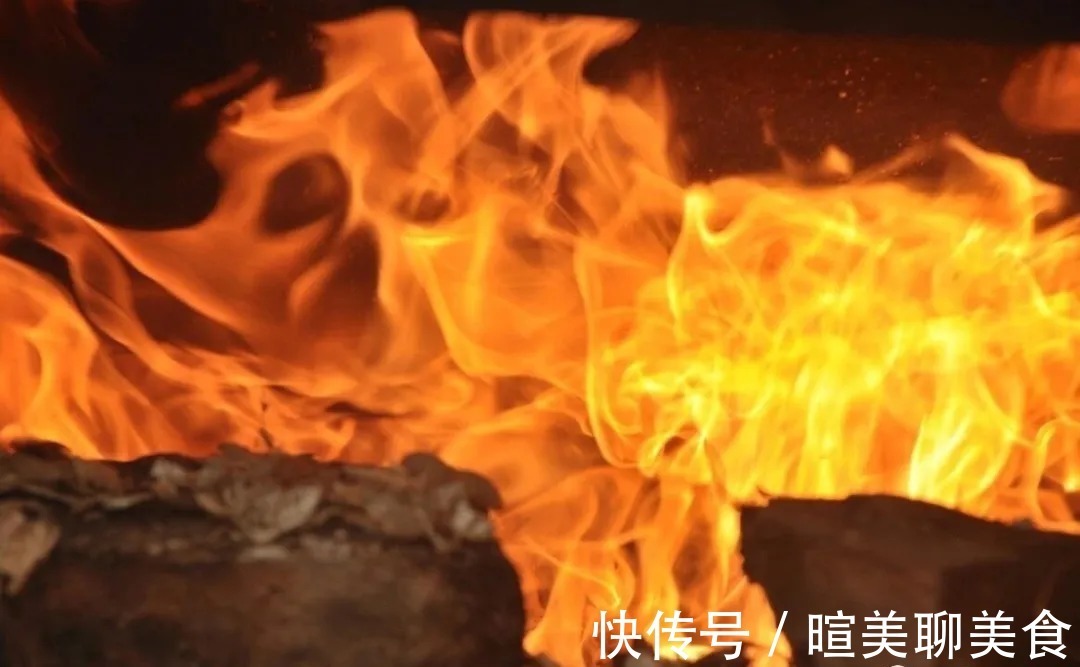 兰根|用花生种植兰花？很多人第一步就错了，正确的技巧是这样的