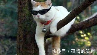 |原创幽默笑话,有内涵有笑点!赶快收藏!