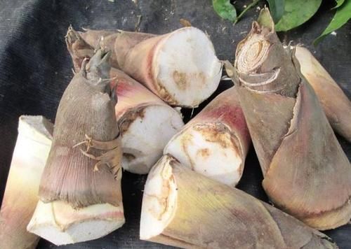 肠道的“润滑剂”,早晚吃一点,排宿便清肠道,体重“嗖嗖”降!