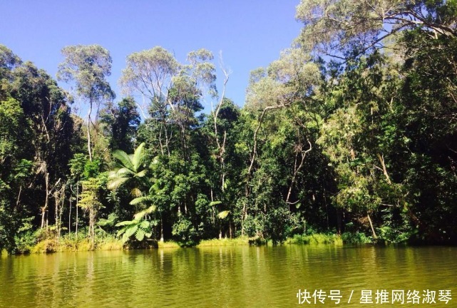 自然景观|热带雨林的难忘之旅