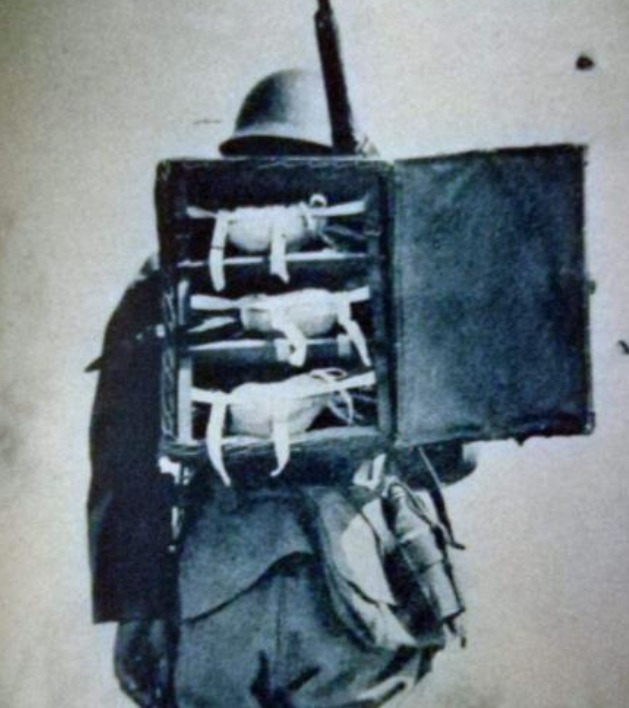 杀掉|抗日时危险程度最高的动物：哪怕只有一颗子弹也要杀掉它，不是军犬