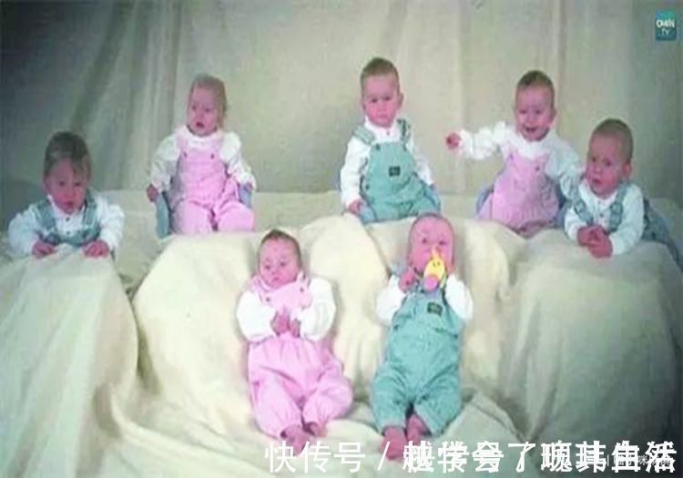 多胞胎|一胎生“一窝”是种什么体验?七胞胎一天用52片尿布,喝42瓶奶粉