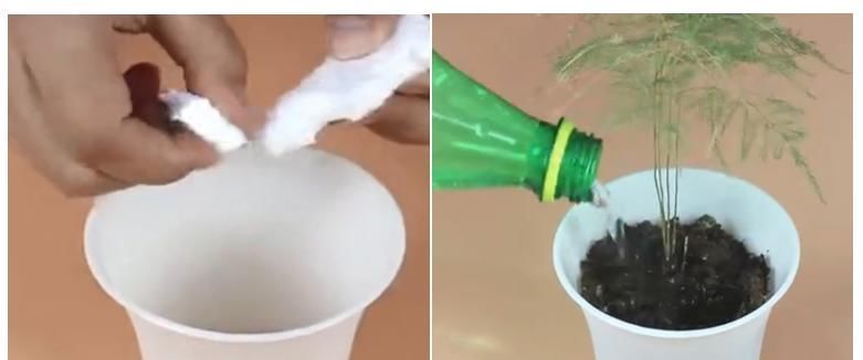 妙招|才知道泡沫箱居然还能这么用,再也不扔了,实用妙招,错过可惜