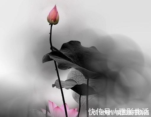 人生在世|佛教最经典的24句话,修身养性,不看是你的损失!