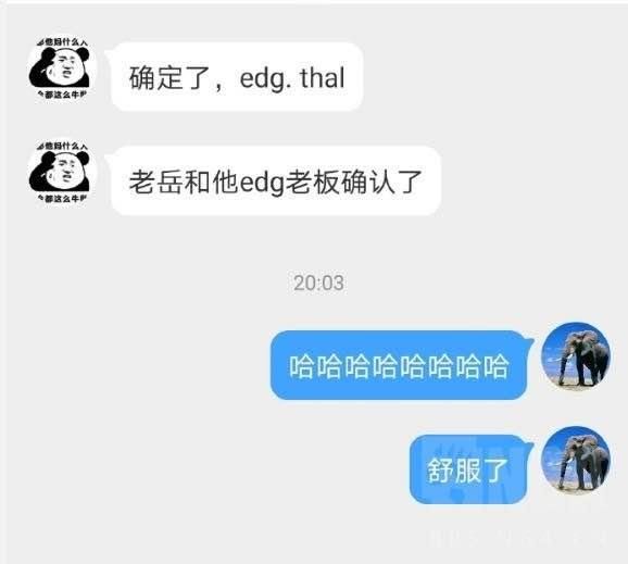 EDG|Thal确定来EDG战队了？EDG员工表示：很便宜就买了