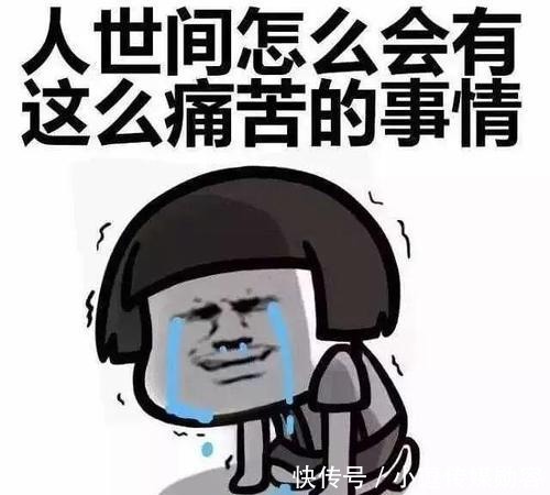后人|他是苏轼的牢友,被后人称为科技宰相