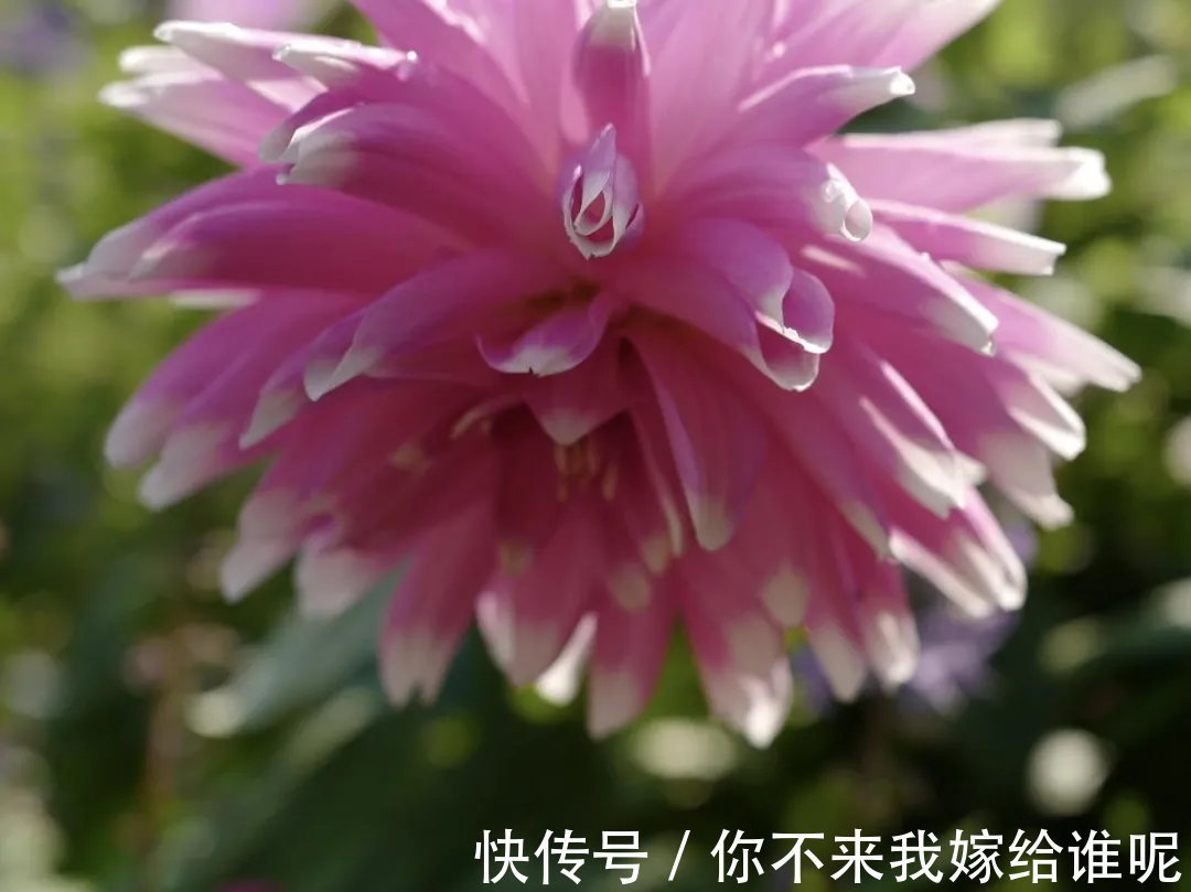 王维$王维最经典的7首诗,安静而美好,一生至少读一次