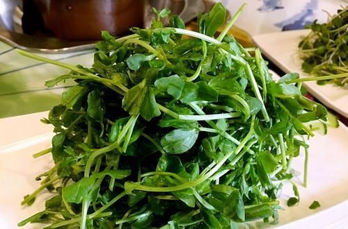 女性不想早衰，多吃3种食物，帮助睡眠，补气养血，早吃早好！