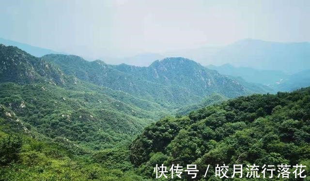 鸽子洞|北京大岭沟猕猴桃谷风景区，幽静空谷听鸟鸣，到山顶看草木葱茏！