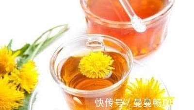 口臭|每天用“蒲公英”泡水喝,坚持一段时间,这8件好事可能悄然来临