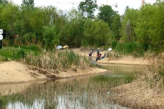 真气人野河打了重窝钓鱼,刚开始连杆别人把竿子抛进你窝里