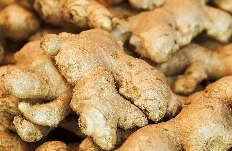 滑膜炎|骨科主任生姜这样用，膝盖不疼了，积液消失了，滑膜炎也好了