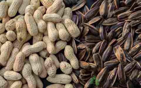 花生|瓜子和花生,一个让你长胖,一个让你减肥,你吃对了吗