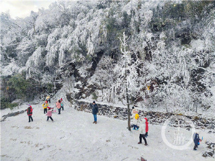 重庆|金佛山、南天湖，重庆多个冰雪景区达最大客流承载量