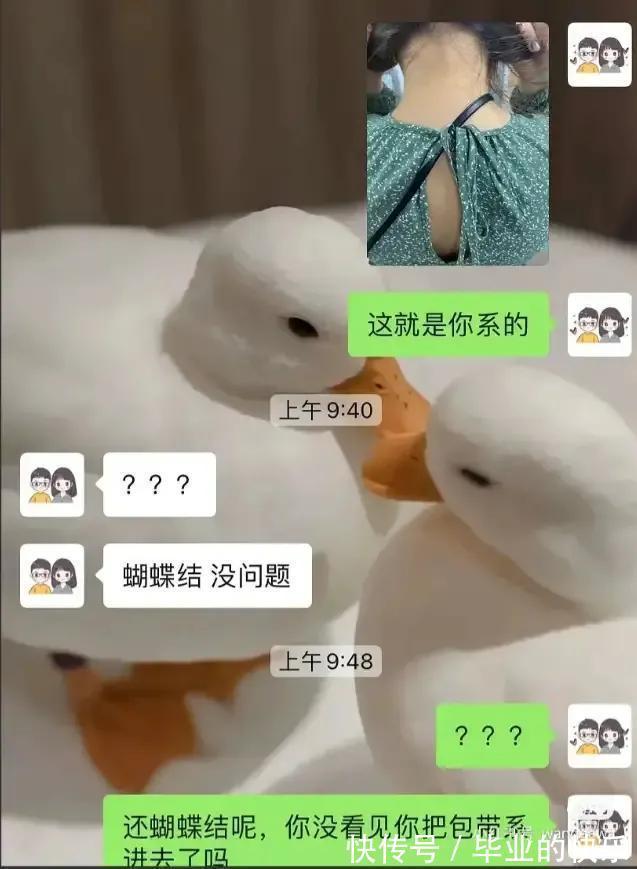 |搞笑图集：你们公司中秋发了啥？网友：发了个通知，说不放假