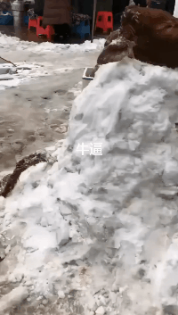 |搞笑gif段子:让我们把工作提升到一个新的高度