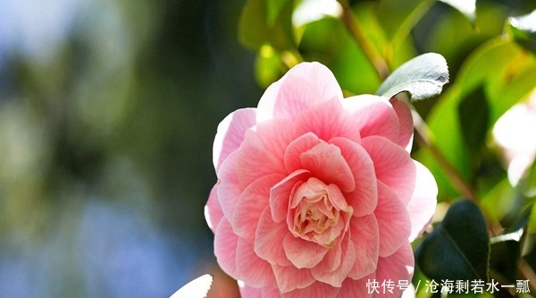 皮肤护理看起来很麻烦,但其实很简单。记住8件简单的事情!