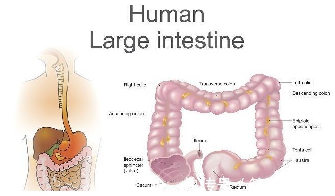 一杯温开水|早上空腹喝水,对身体有哪些影响?这些小知识,多留心了