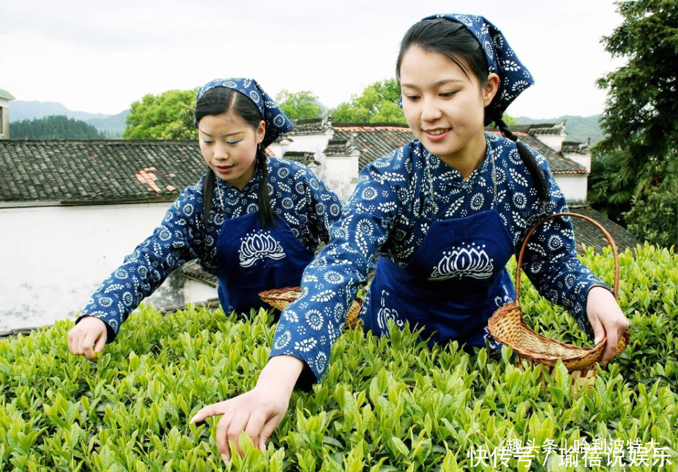 夏言|上乘富饶，八方通衢，这个小小的地级市堪称“最美中国缩影”