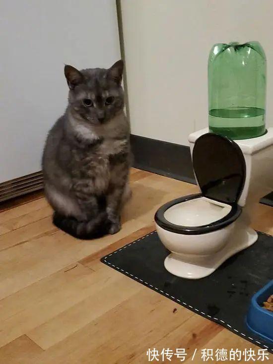 |男朋友敷衍起来是什么样 冷段子1464 & 去年今日1155