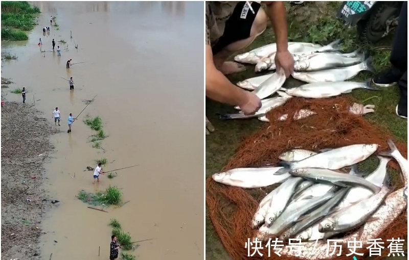 射鱼|江苏男子一天射鱼上百斤，网友热议：锚鱼已明确入刑，射鱼呢？