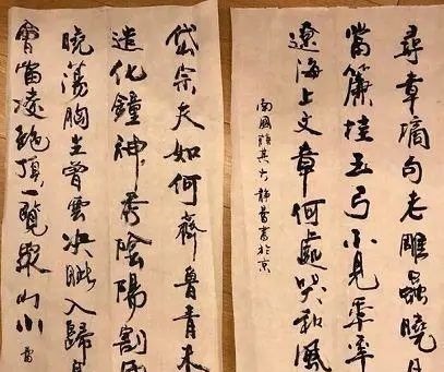 徐静蕾&徐静蕾用笔洒脱,写出“二王”神韵,书协大佬:关键是笔好!