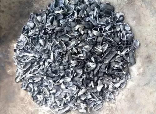 4种“壳”每家都有,丢盆里疏松透气,2年不用换盆,长得旺!