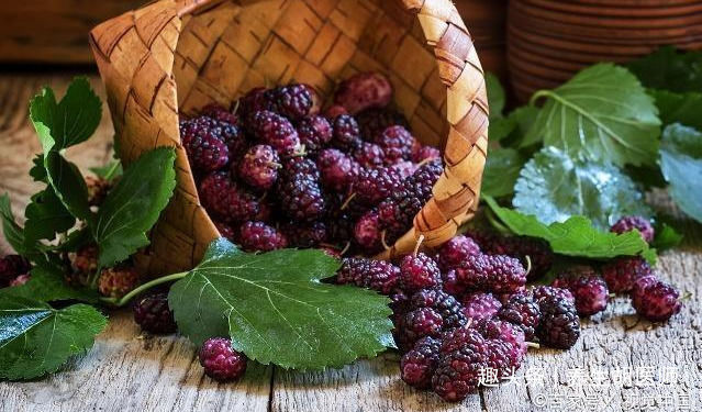 变老|女人不想变老,推荐吃以下食物,补水润肤,排毒抗衰,预防疾病