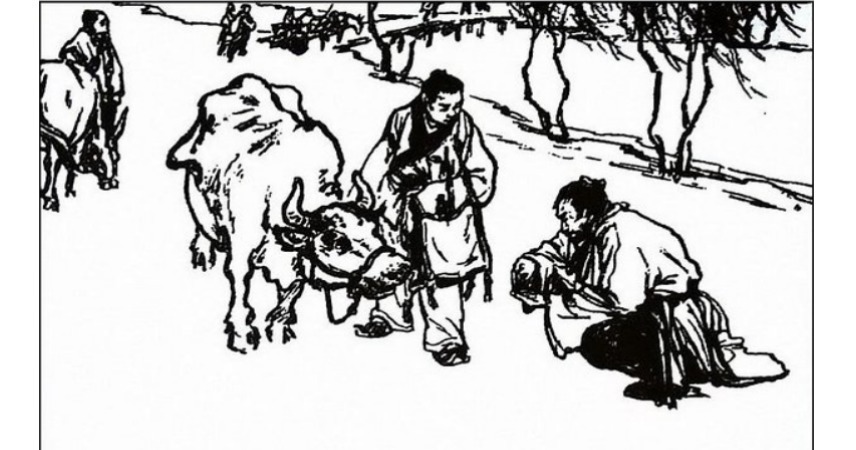 后发|农夫舍不得病牛,白花钱喂养着,五年后发了大财