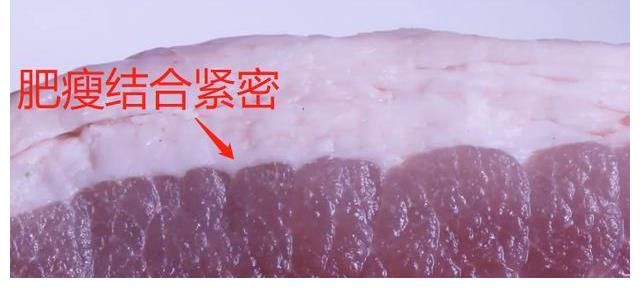 豆瓣酱|盐煎肉怎么做好吃？