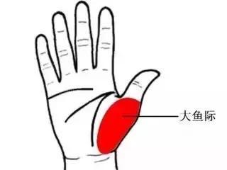 功效|“火”在肺里,咳嗽;“火”在肝里,失眠;“火”在胃里,口臭