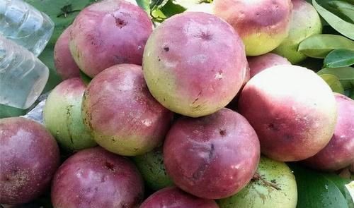 常吃|女性爱美，推荐常吃3种食物，滋润肌肤，抗衰老，增强体质！