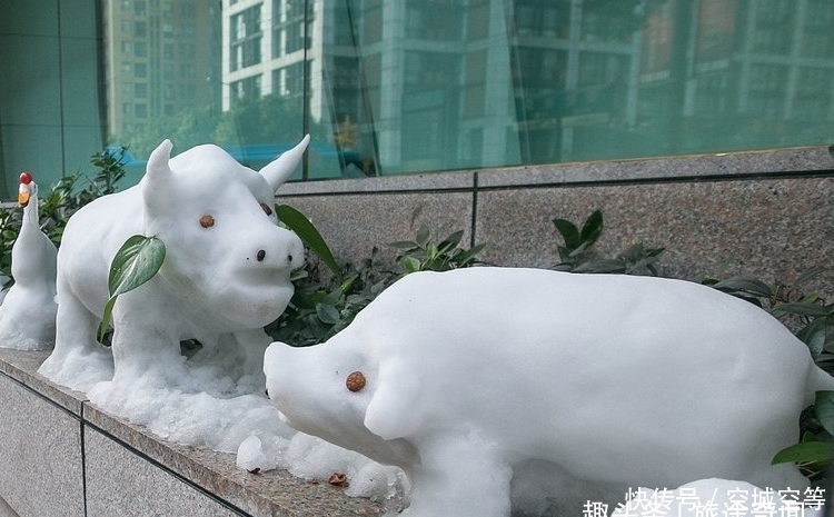  意外|高手在民间之银行保安，堆雪人意外走红，许多游客到银行门口打卡