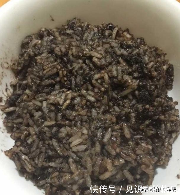 博士老公做的菜，连狗都不吃，再也不让他进厨房了？