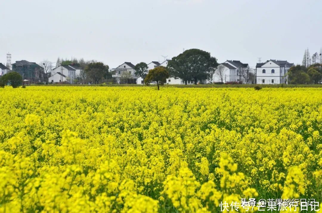 清明节该去趟江苏了，这份3000字的自由行攻略请拿好