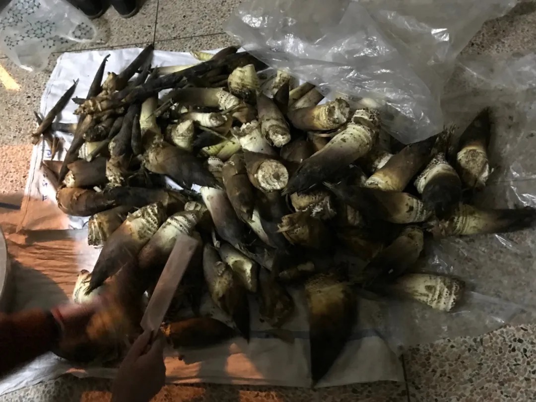 又有人中招！说了八百遍，这东西千万别碰！曾有人食用后大口吐血