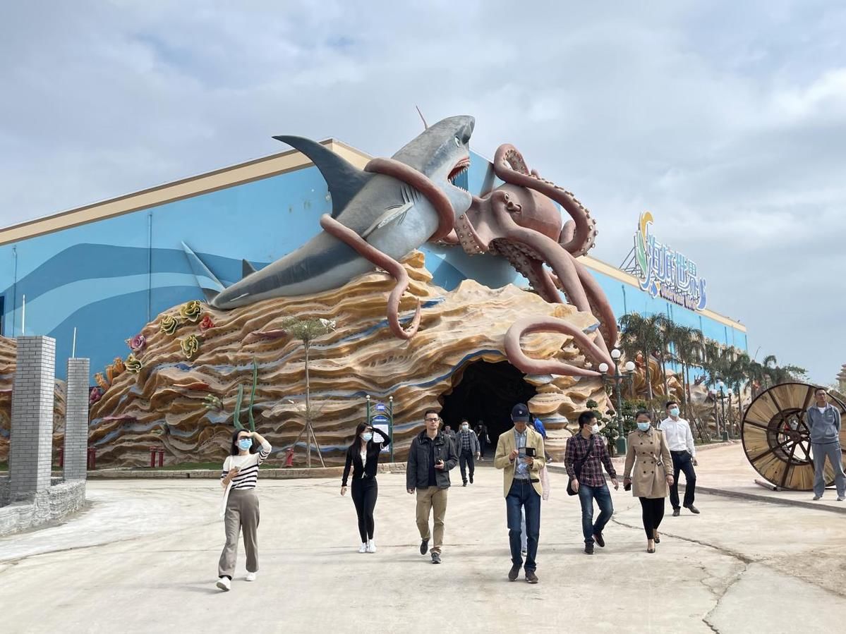 海洋生物|泉州高质量发展海丝文旅产业：保护海洋生物 共建人与动物和谐共处的世界旅游目的地