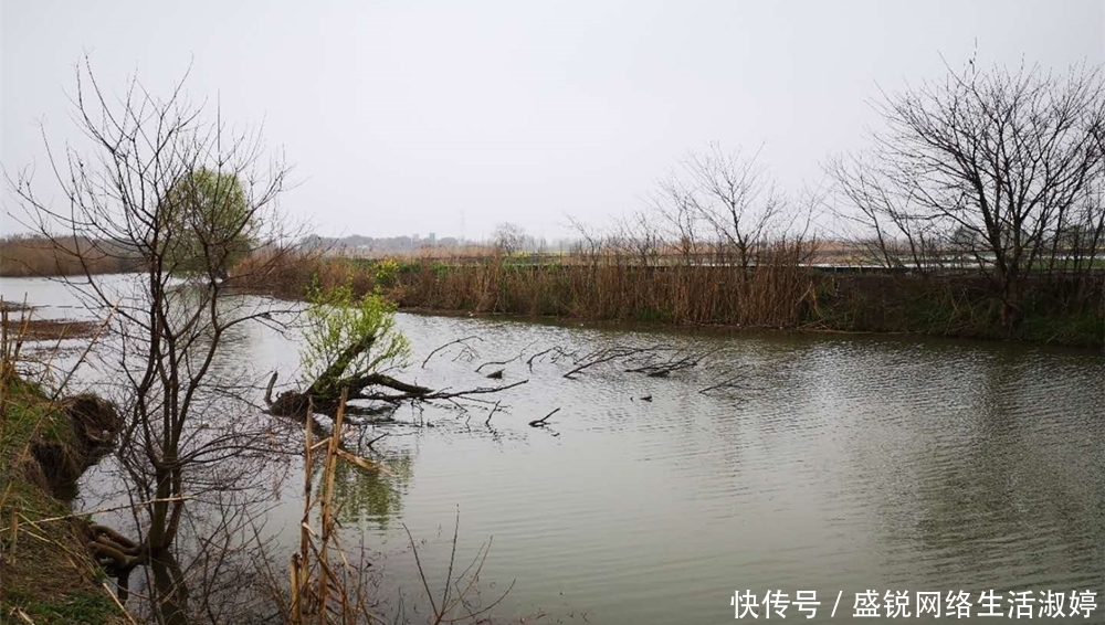 野钓选不好钓位要“空军”,牢记这几点,到什么水面都能找到鱼群