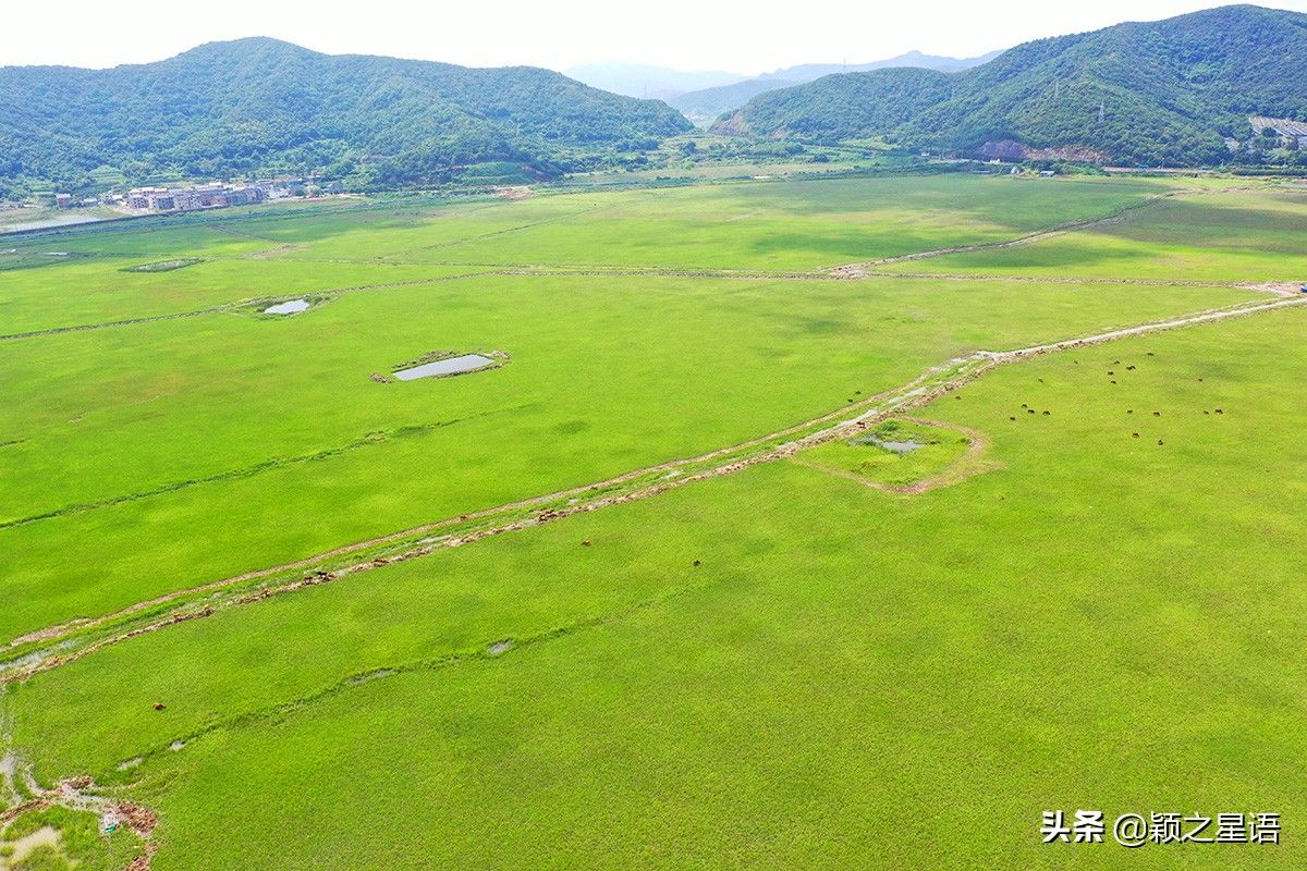 玻璃桥|有山有海有草原，全域旅游象山东陈乡，人文风景荟萃