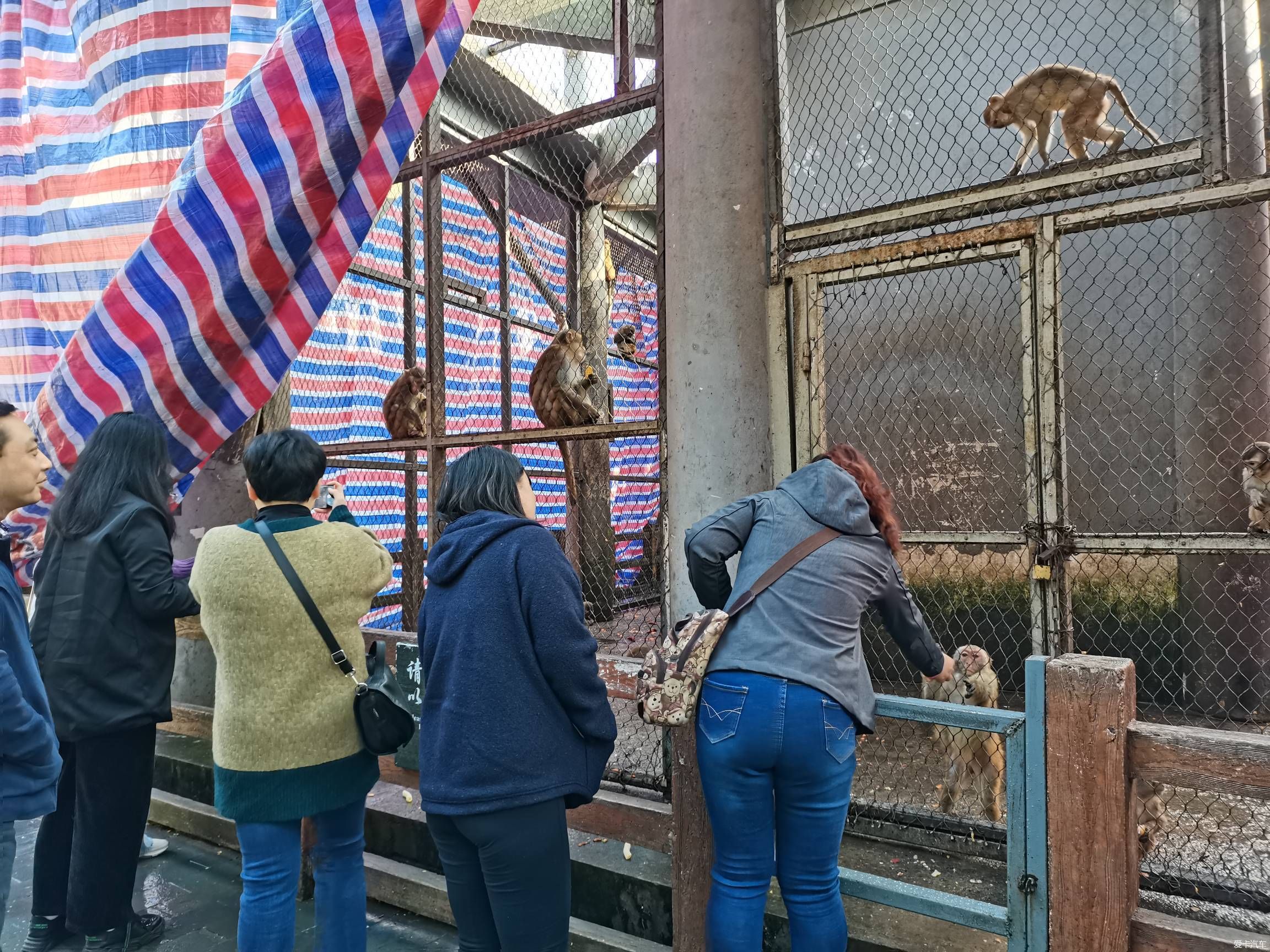 情人节逛森林公园