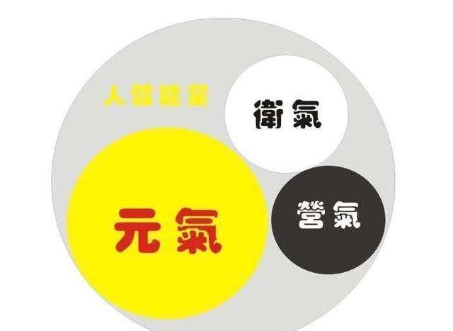 心气|它是补气之最，治一切虚劳，肺气，脾气，肾气，心气，肝气都补齐