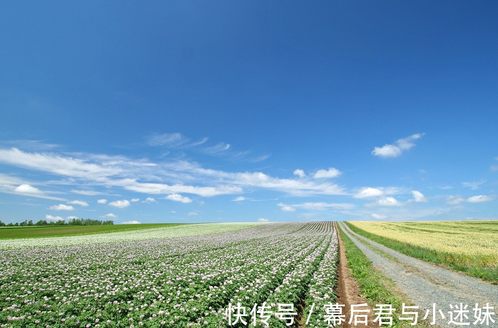 在职场|哪几个生肖自身有实力底气足，可以在短时间内大富大贵，事业高升