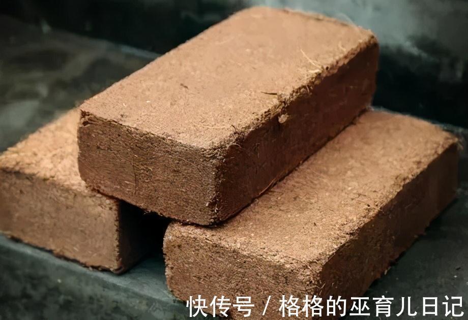 新手养花须知,这种土透气又保水,还纯天然