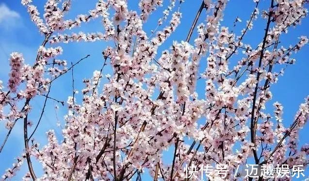 美的眼睛&不知名诗人,无意仿写了陆游的一句诗,不料却成为千古名句