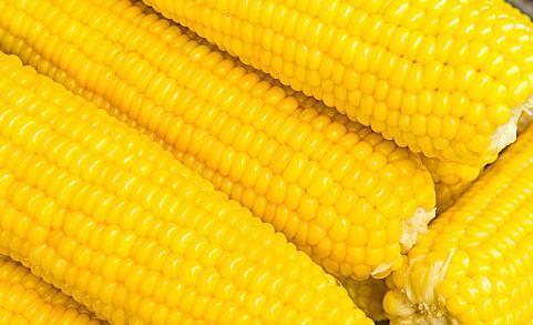 恭喜你吃了煮玉米,玉米有六个好处,你知道什么