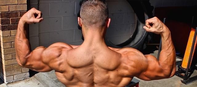 斜板|那些“总是被忽视”的背部动作,实际上是你变强的秘技!