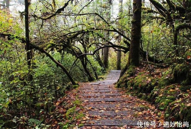 又美又神奇，然而却头号坑爹的景点，海螺沟必须榜上有名