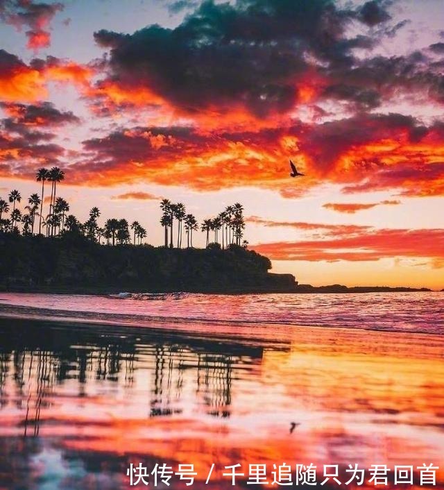 如梦初醒|触动灵魂的小句子精辟犀利,总有几句让你如梦初醒!