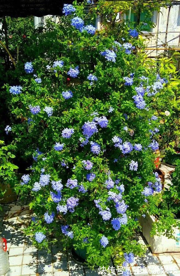 这9种花园,随便1个都美上天了,有一种这辈子就满足了!