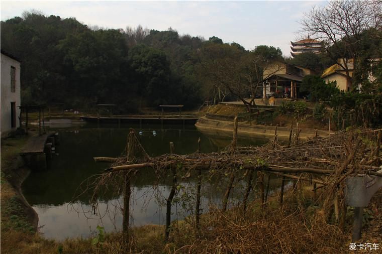 新年|新年新气象，祈福洪山寺